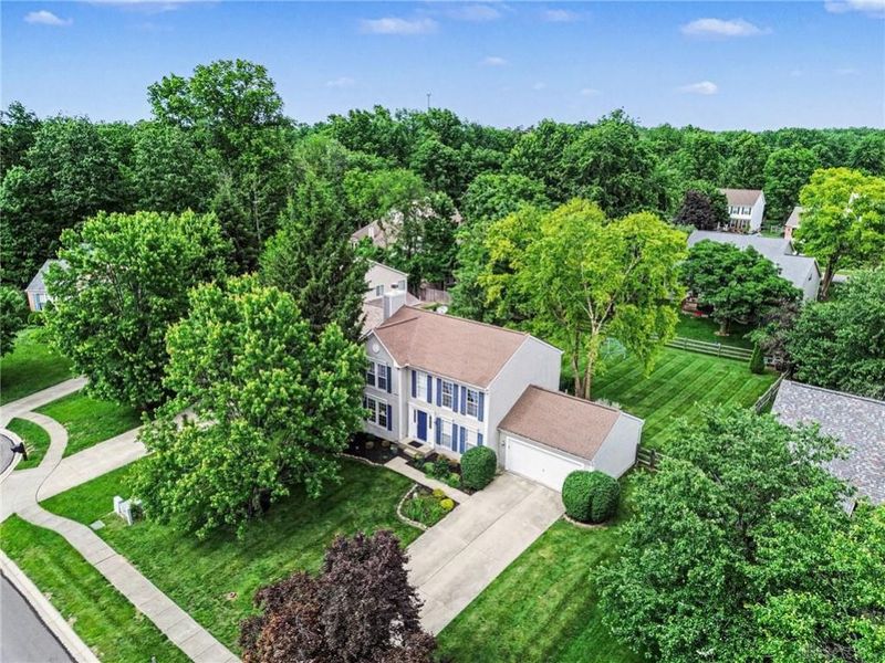 5701 Wildflower Court, Miami Township, OH 45150 Photo 25