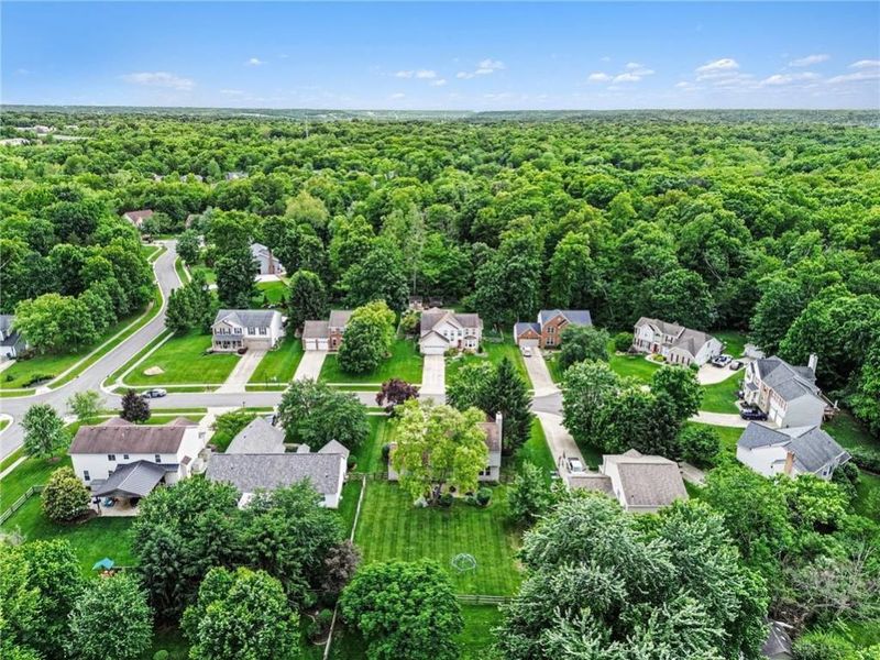 5701 Wildflower Court, Miami Township, OH 45150 Photo 30
