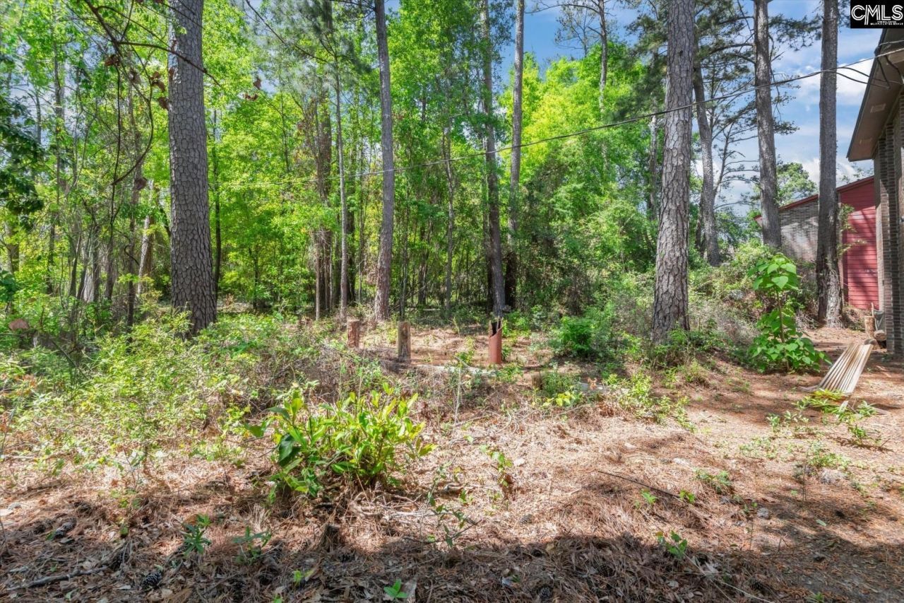 215 Windsor Point Road  Photo 9