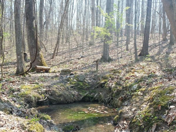 3578 Wolf Creek Rd, Spring City, TN 37381