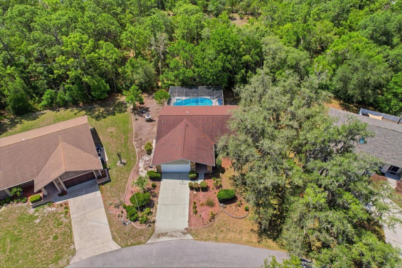 20 Salvia Court , Homosassa, FL 34446 Photo