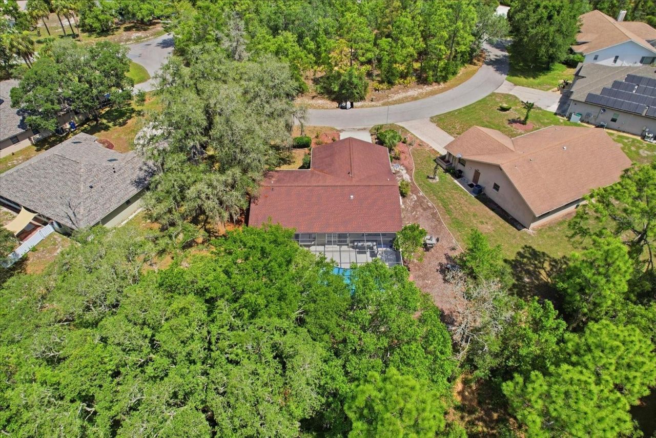 20 Salvia Court , Homosassa, FL 34446 Photo