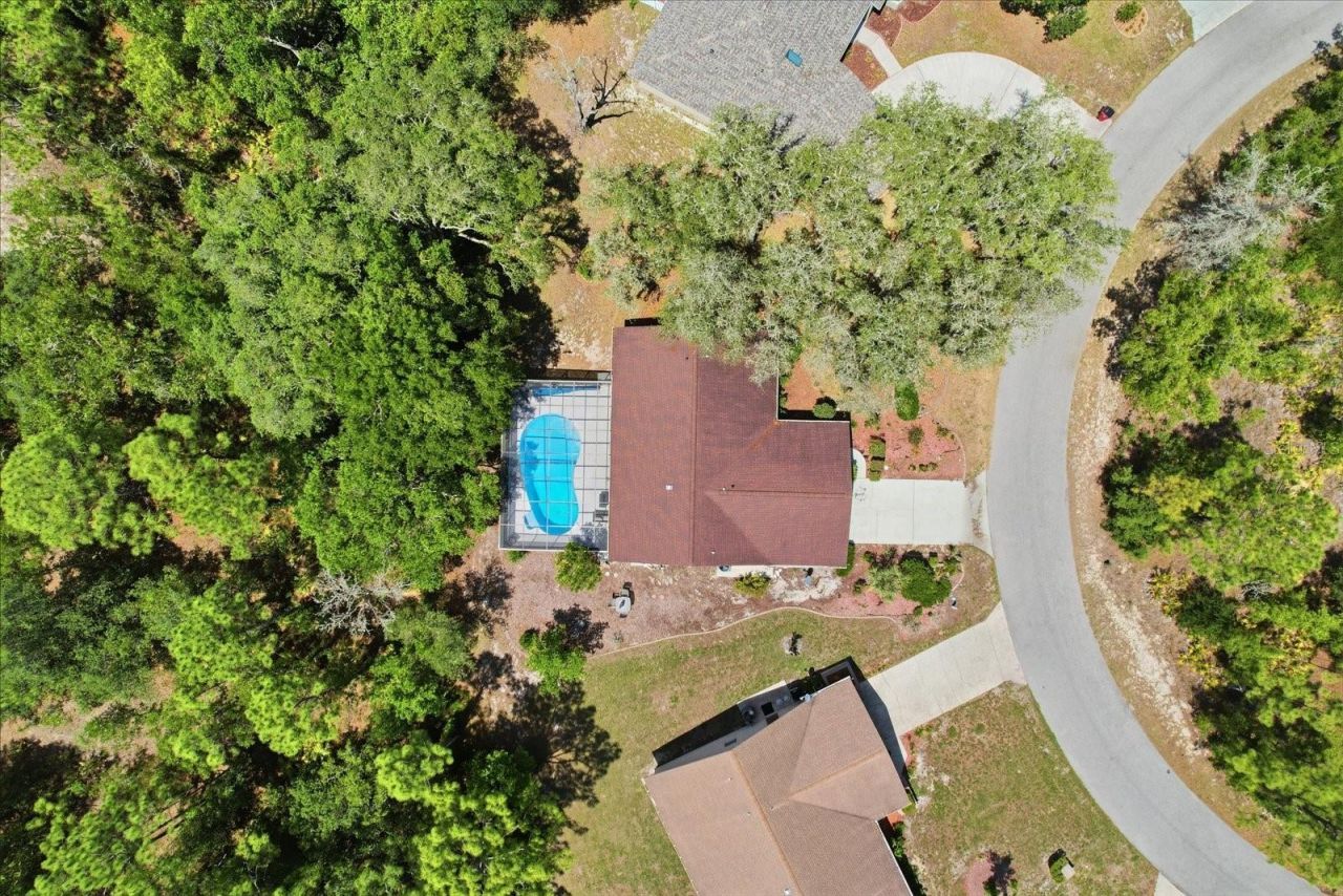 20 Salvia Court , Homosassa, FL 34446 Photo