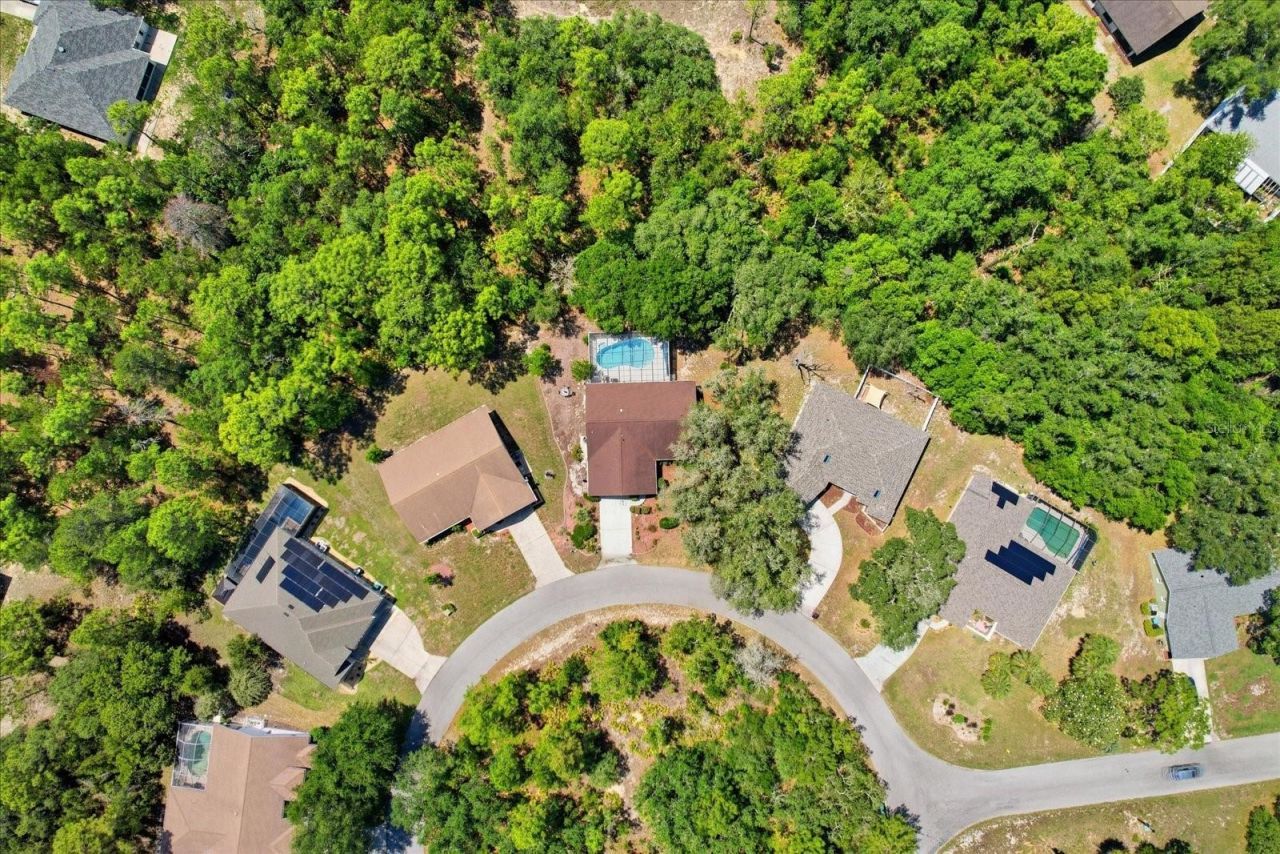 20 Salvia Court , Homosassa, FL 34446 Photo