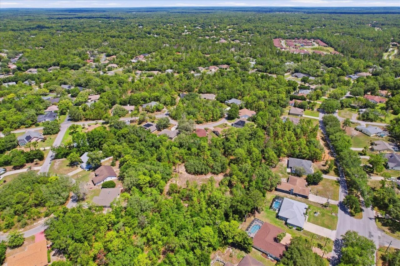 20 Salvia Court , Homosassa, FL 34446 Photo