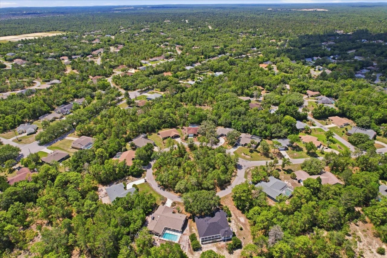 20 Salvia Court , Homosassa, FL 34446 Photo