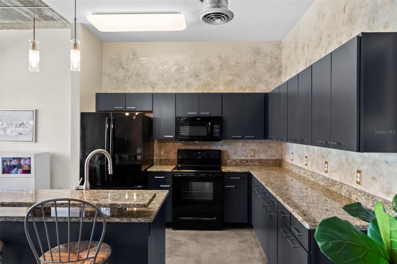 175 2nd Street S, Unit 1007, Saint Petersburg, FL 33701 Photo