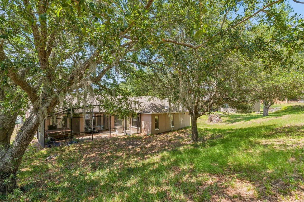 448 Shady Pine Court , Minneola, FL 34715 Photo
