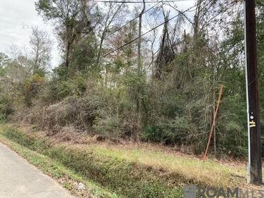 Lot 31 Lucien St, Denham Springs, LA 70726