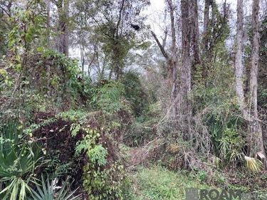 Lot 32 Lucien St, Denham Springs, LA 70726