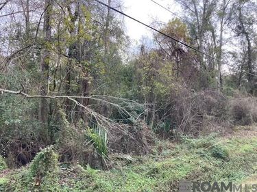 Lot 33 Lucien St, Denham Springs, LA 70726