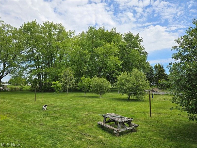 9714 Krabill Road, Sterling, OH 44276 Photo 8
