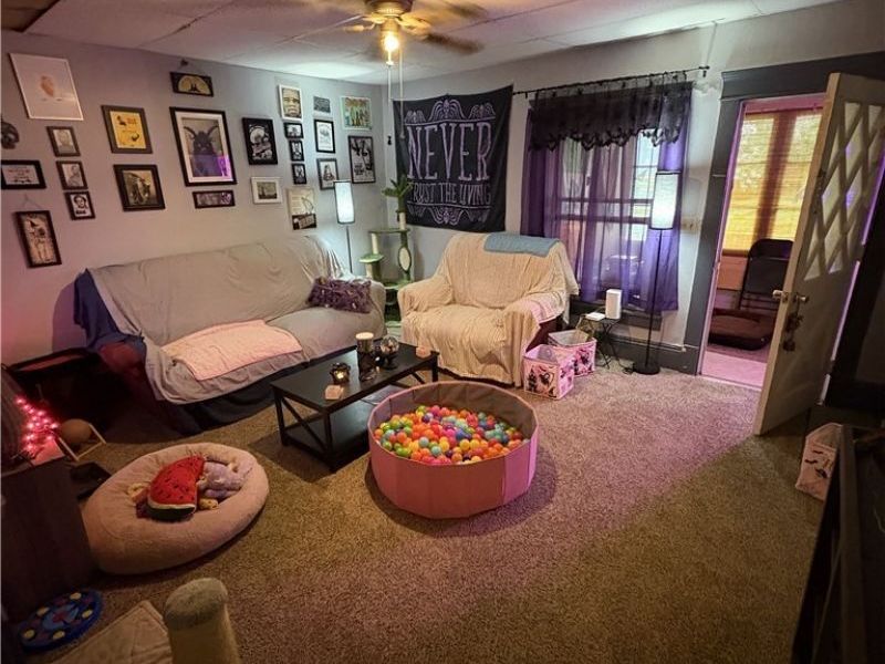 727 Wooster Road N, Barberton, OH 44203 Photo 22