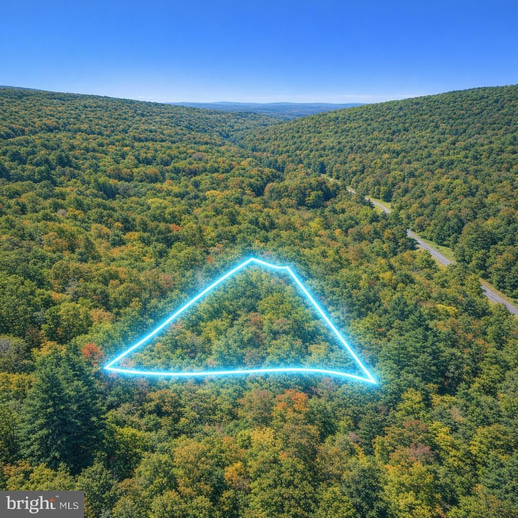 Lot 169 Forest Ridge Trail, Fort Valley, VA 22652 Main Photo