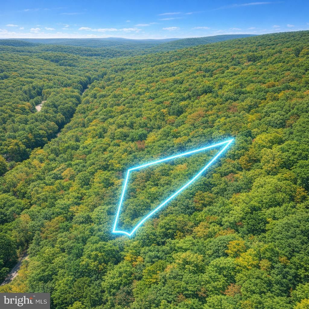 Lot 170 Forest Ridge Trail, Fort Valley, VA 22652 Main Photo