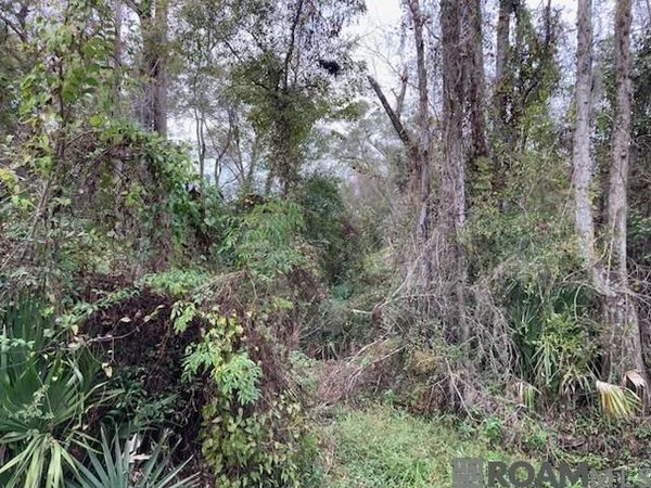 Lot 13 Lucien St, Denham Springs, LA 70726