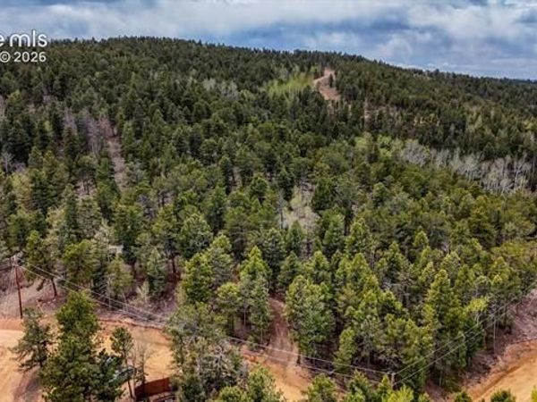 259 Potlatch Trail, Woodland Park, CO 80863