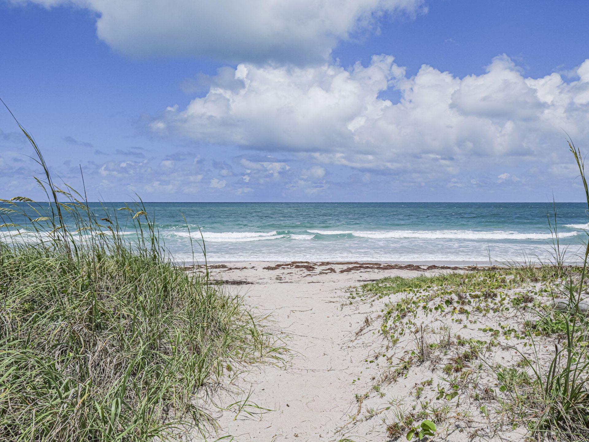 2700 N Highway A1a, Unit 305, Fort Pierce, FL 34949 Photo