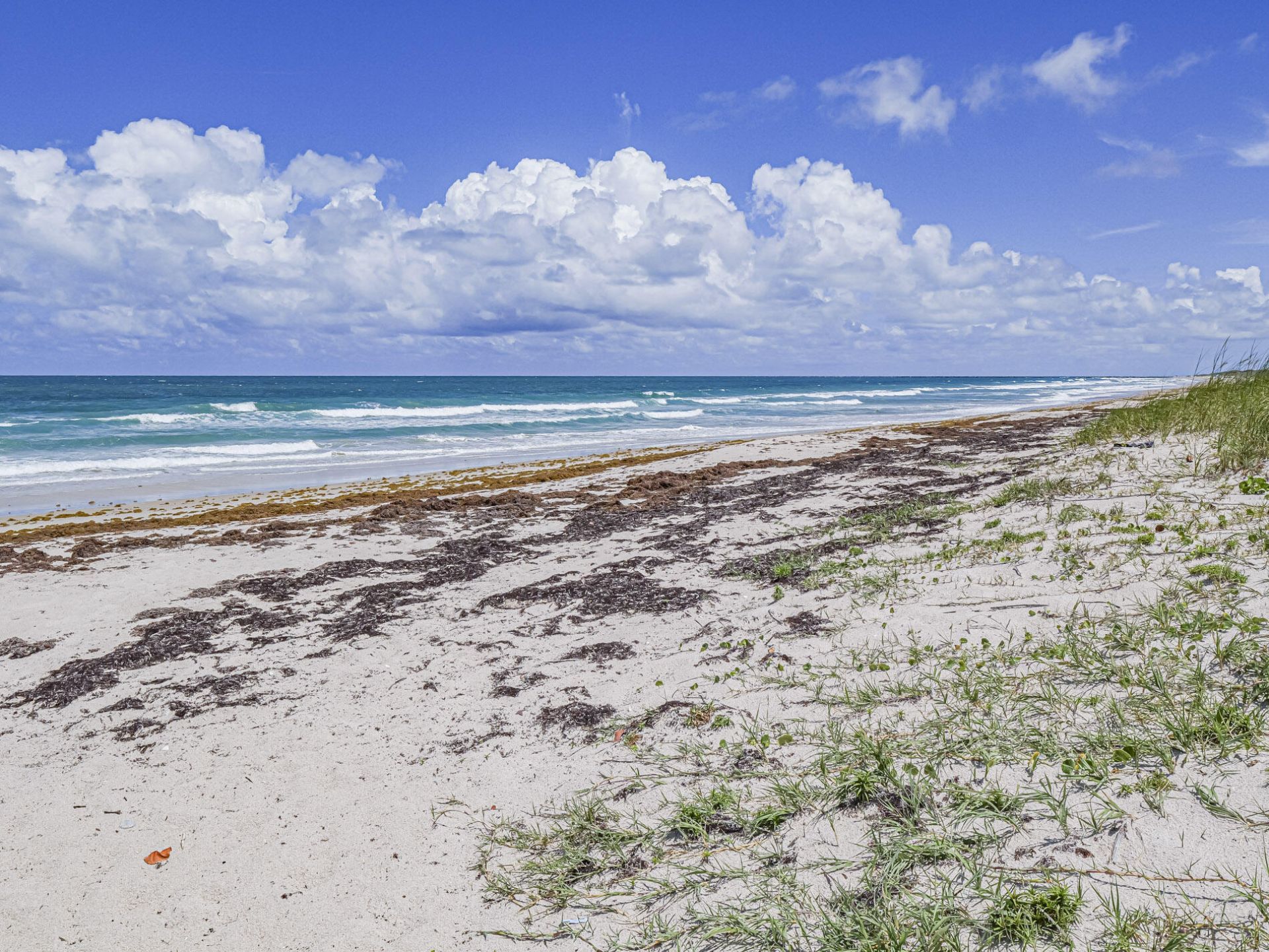 2700 N Highway A1a, Unit 305, Fort Pierce, FL 34949 Photo