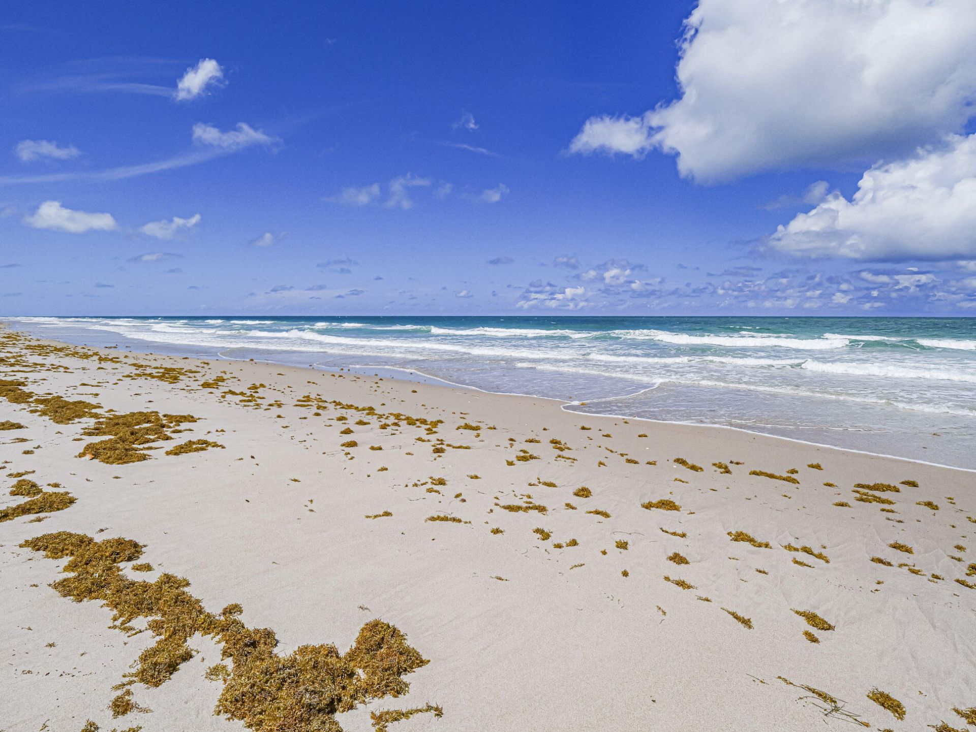 2700 N Highway A1a, Unit 305, Fort Pierce, FL 34949 Photo