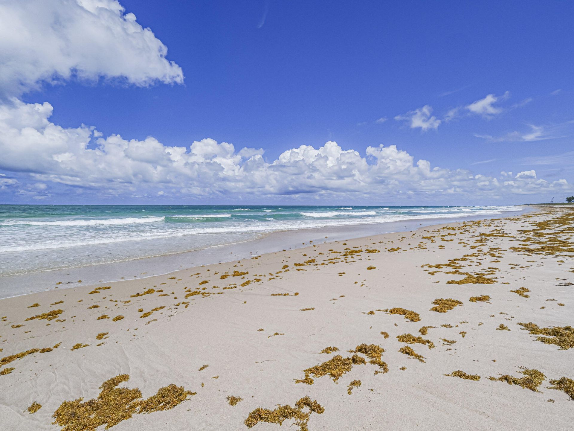 2700 N Highway A1a, Unit 305, Fort Pierce, FL 34949 Photo