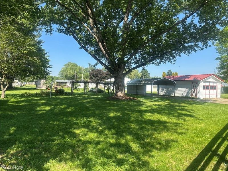 9095 E Southview Street, Minerva, OH 44657 Photo 6