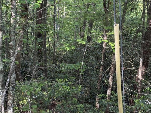 Lot 6 Walnut Flats Rd, Walland, TN 37886