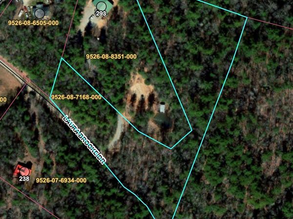 99999 Laura Brooke Drive , Penrose, NC 28766