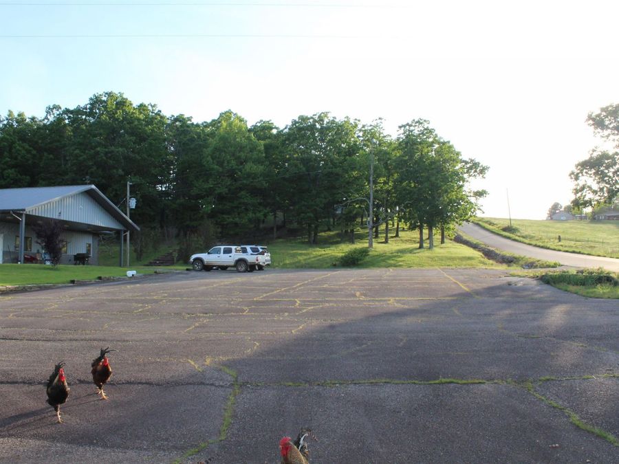 Property Image 4