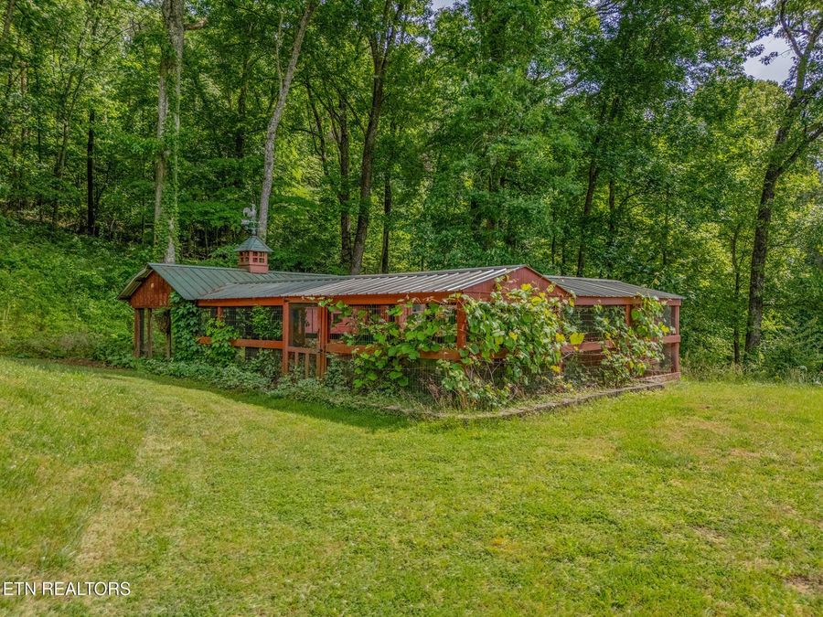 Property Image 57