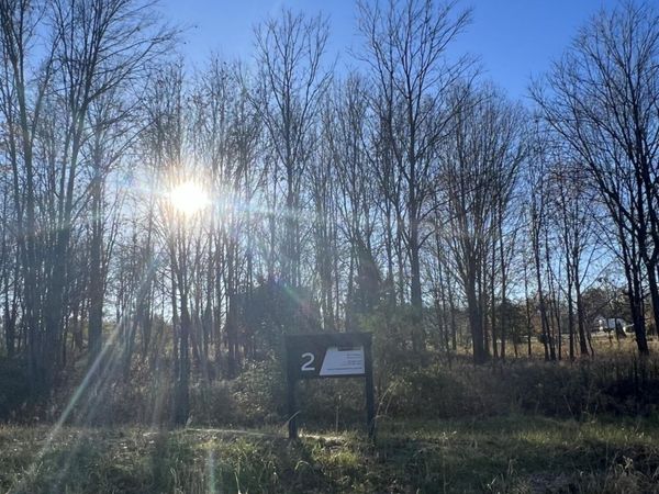 6837 Morrison Hills Court, Dexter, MI 48130