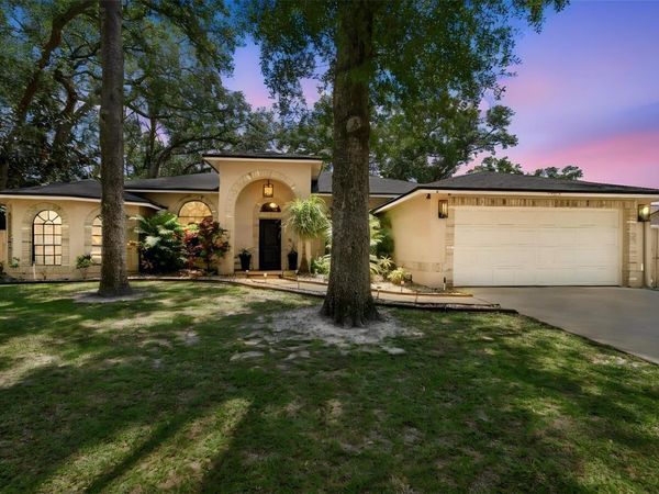 3602 ARLINGTON OAKS COURT , TAMPA, FL 33618