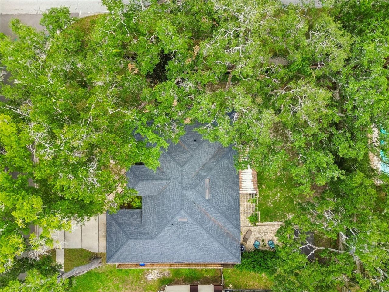 3602 Arlington Oaks Court, Tampa, FL 33618 Photo