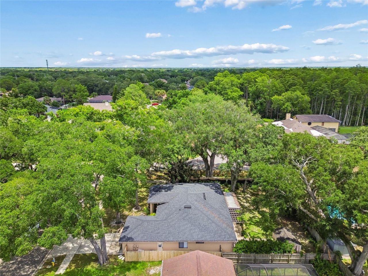 3602 Arlington Oaks Court, Tampa, FL 33618 Photo