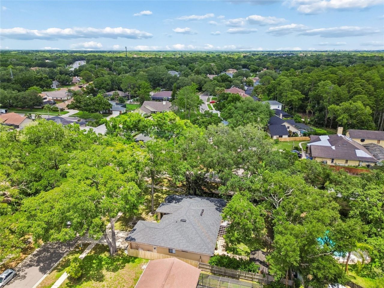 3602 Arlington Oaks Court, Tampa, FL 33618 Photo