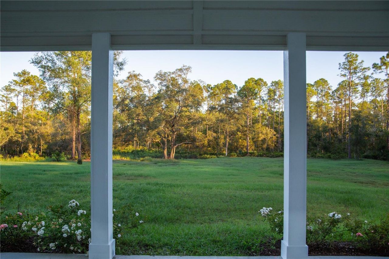 14042 NE 110th Street, Fort Mc Coy, FL 32134 Photo