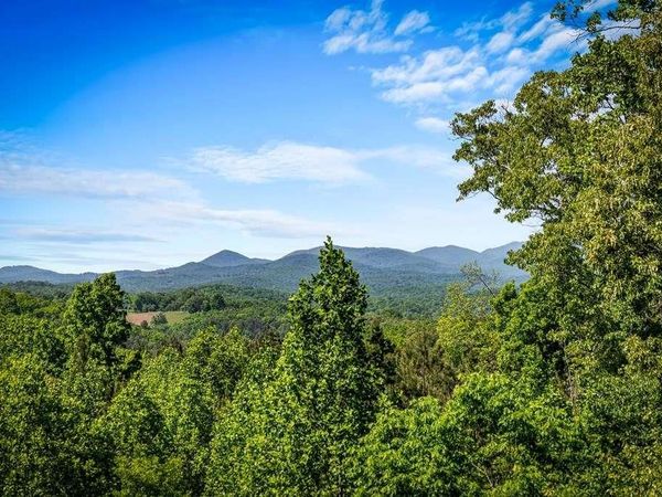 479 Big Timber Road , Mineral Bluff, GA 30559