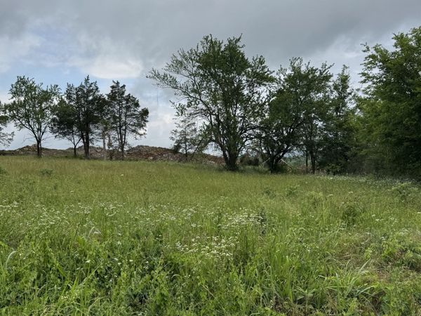 1555 E Stewarts Ln , Unit 11, Nashville, TN 37218