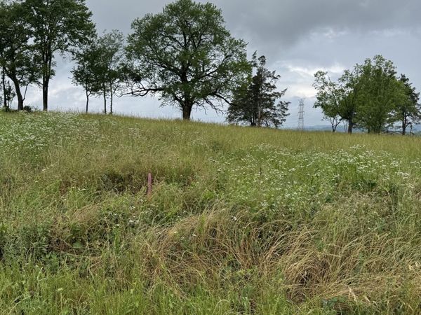 1539 E Stewarts Ln , Unit 7, Nashville, TN 37218