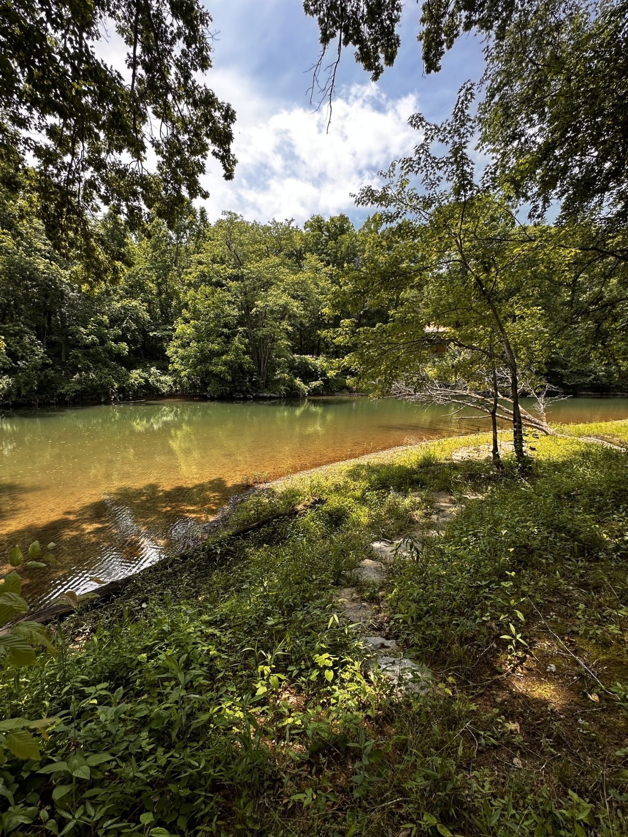 238 Texas Bottom Ln, Hohenwald, TN 38462 Main Photo