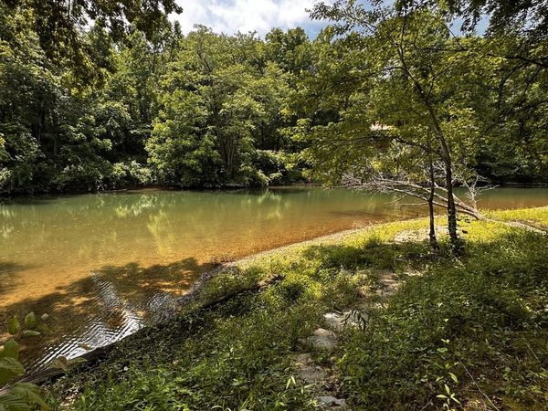 238 Texas Bottom Ln, Hohenwald, TN 38462