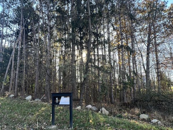 6825 Morrison Hls Court, Dexter, MI 48130