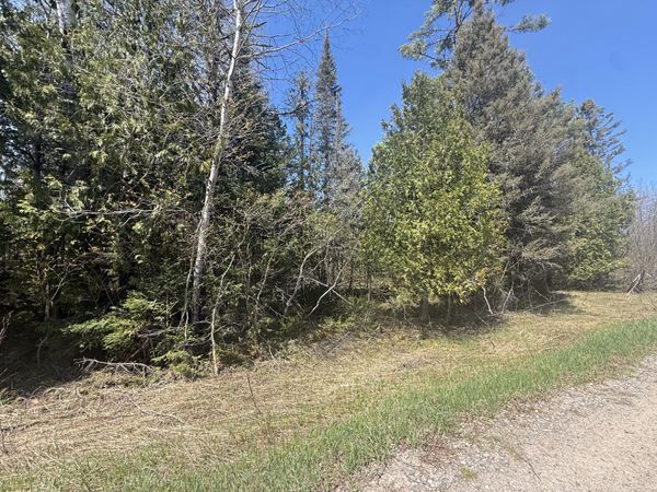 0 S Salt Point RD, Eckerman, MI 49728