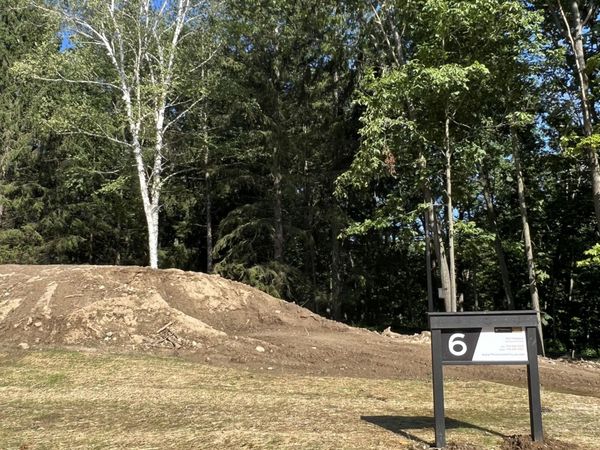 6810 Morrison Hills Court, Dexter, MI 48130