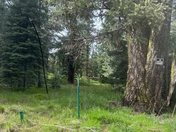 2195 Davy Road, Donnelly, ID 83615