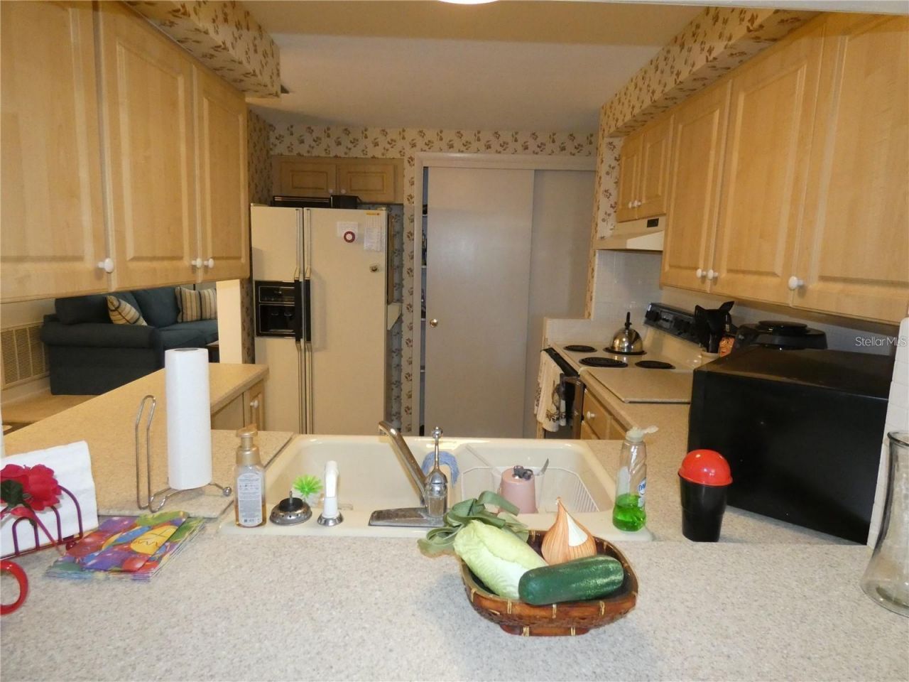 4392 Craftsbury Drive, New Port Richey, FL 34652 Photo