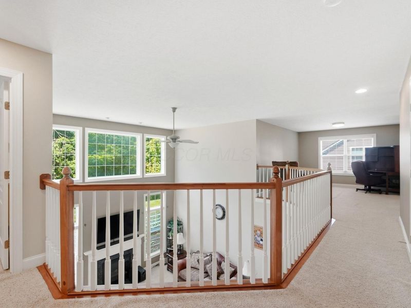 8582 Maple Leaf Court, Powell, OH 43065 Photo 49