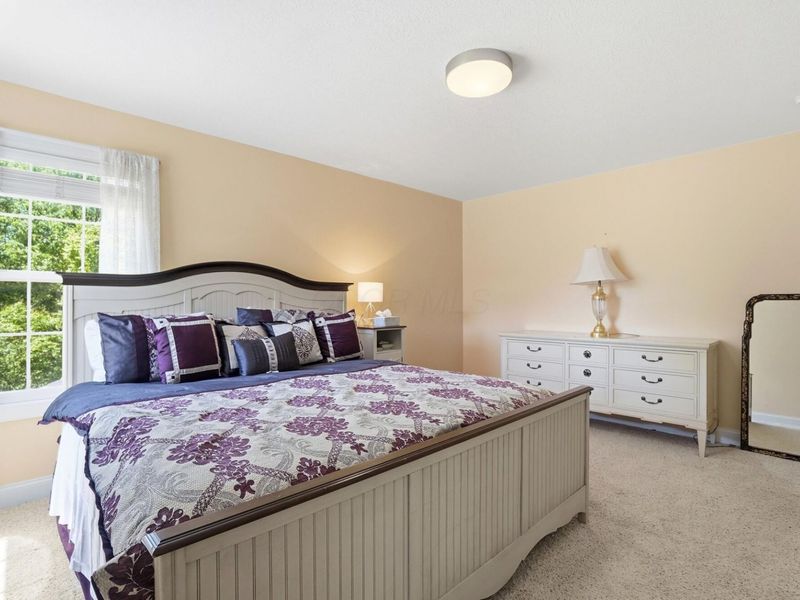 8582 Maple Leaf Court, Powell, OH 43065 Photo 61