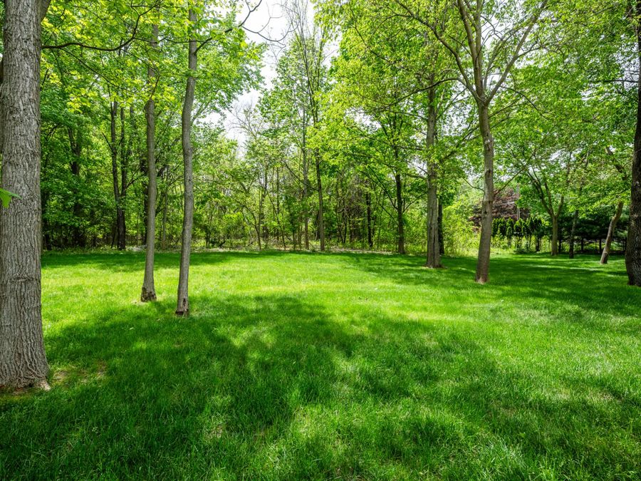 Property Image 63