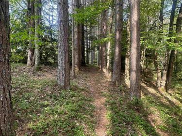 Lot 70 Monte Carlo Court, Davis, WV 26260